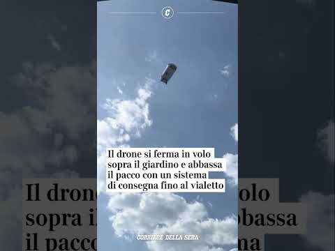 Cliente di Walmart ordina la spesa e la riceve dal cielo in soli due minuti