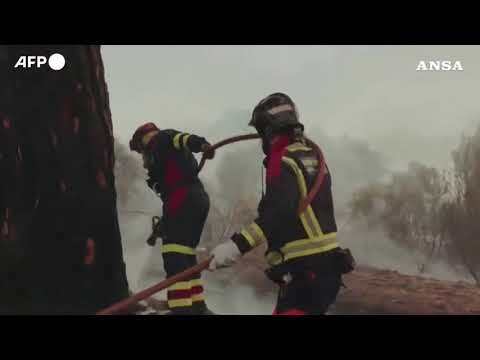 Spagna, Vigili del fuoco da giorni al lavoro senza sosta contro gli incendi