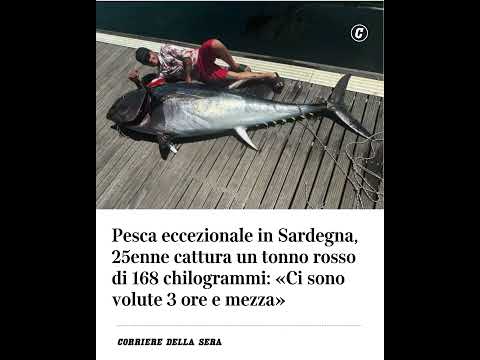 Pesca eccezionale in Sardegna, 25enne cattura un tonno rosso di 168 kg