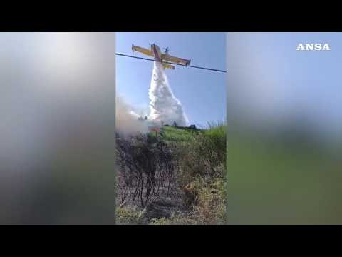 Incendio di vegetazione nel Lametino, Canadair in azione