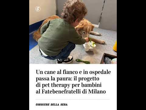 Un cane al fianco e in ospedale passa la paura: il progetto di pet therapy per bambini a Milano