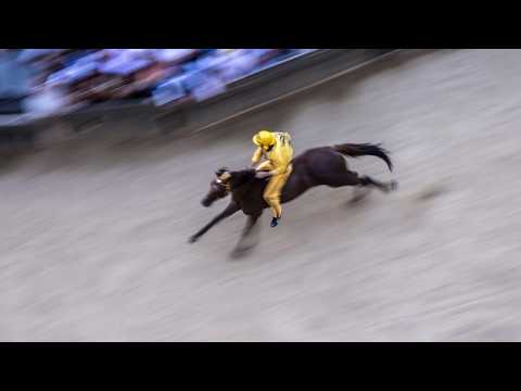 Palio di Siena, il video della vittoria dell’Aquila