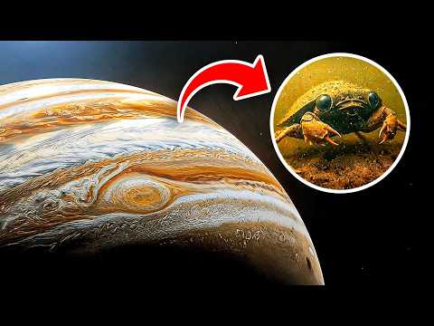 Gli scienziati spiegano come potrebbe essere la vita su Giove