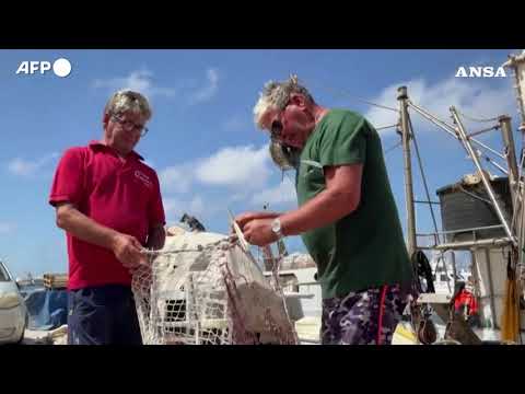 Relitti sommersi e mari caldi minacciano i pescatori di Lampedusa