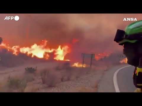 Maxi rogo in Spagna, in fiamme i boschi dell’Andalusia