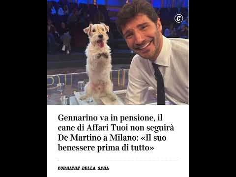 Gennarino va in pensione, il cane di Affari Tuoi non seguirà De Martino a Milano: “Il suo benessere…
