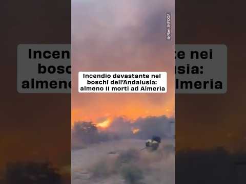 Incendio devastante nei boschi dell’Andalusia: almeno 11 morti al Almeria