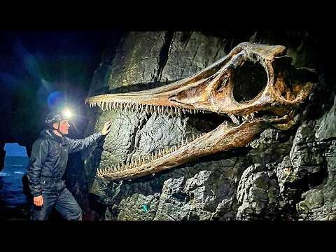 Paleontologi hanno scoperto una creatura inquietante che non corrisponde a nessuna specie conosciuta