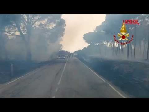 Incendio in Sardegna, a fuoco la pineta ad Aglientu: continua il lavoro dei vigili del fuoco