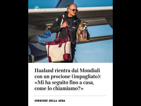 Haaland rientra dai Mondiali con un procione (impagliato): “Mi ha seguito fino a casa, come lo…