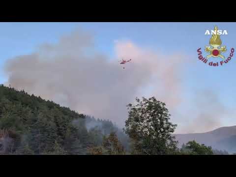 Piemonte, incendio tra Bardonecchia e Oulx: persi 25 ettari di pineta