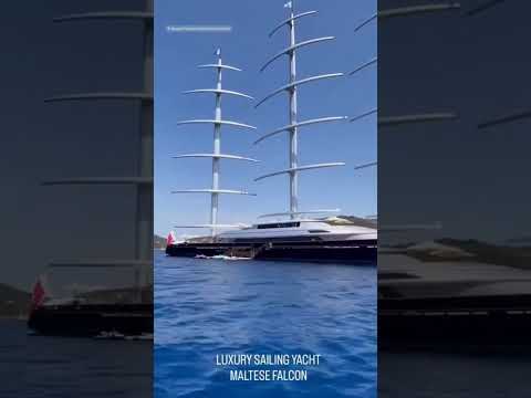 Il Maltese Falcon, il sesto veliero più grande al mondo, fa tappa all’Isola d’Elba dopo una ristr