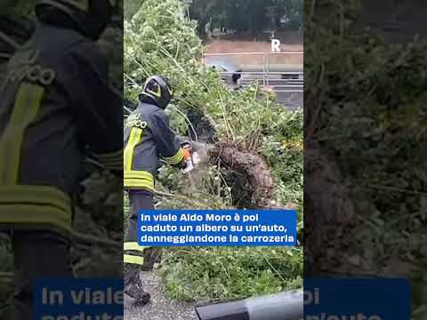 Maltempo a Bologna: Infiltrazioni in Stazione e Alberi Caduti su Auto in Transito