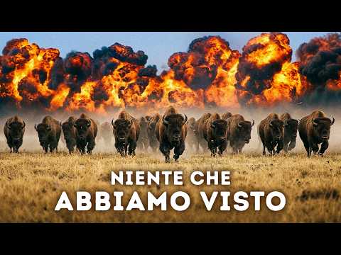 Un raro geyser di Yellowstone si è improvvisamente risvegliato: è un segnale d’allarme?