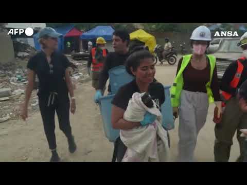 Terremoto in Venezuela, gattino salvato vivo dalle macerie