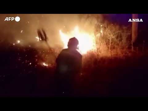 Algeria, incendi boschivi a Jijel: vigili del fuoco in azione