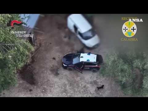 Incendio a Filandari, arrestato un allevatore ripreso da un drone