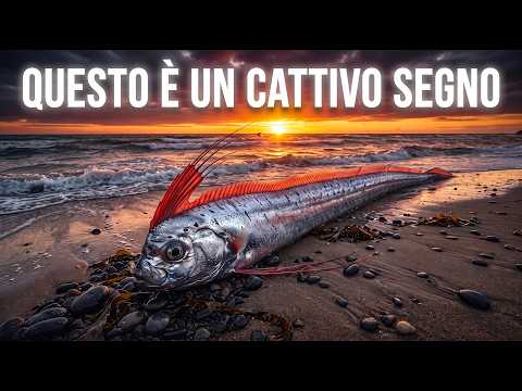 Questa creatura marina non dovrebbe essere qui, eppure appare prima della catastrofe