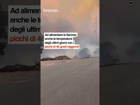 Vasto incendio in Ogliastra: ad Arzana evacuate 100 persone e 60 ospiti di una struttura per pazient