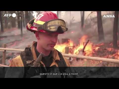 Incendi nello Stato di Washington, vigili del fuoco: “Continuiamo gli sforzi”