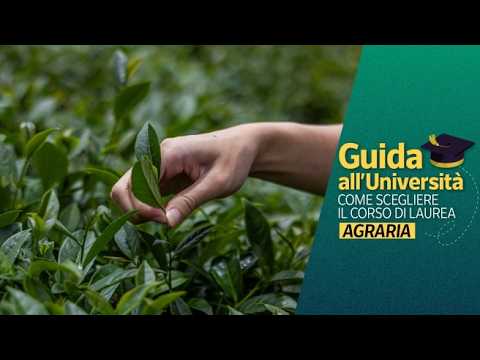 Studiare Agraria: la sfida epocale è garantire cibo di qualità per tutti rispettando l’ambiente