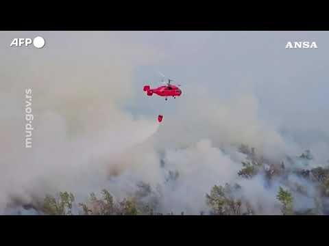 Incendio in Serbia, a fuoco una riserva naturale vicino Belgrado