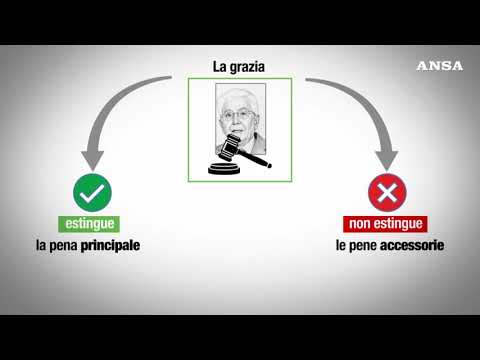 Come viene concessa la grazia presidenziale
