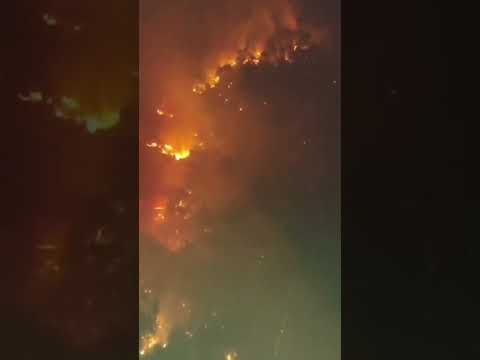 Incendio a Vedriano: Vigili del Fuoco in Azione per Spegnere il Rogo di 5 Ettari