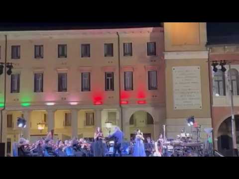 A Rovigo il concerto in memoria del gatto Rossini, investito da un’auto: era la mascotte della città