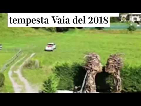 «Il bacio», la nuova opera di Marco Martalar a Molveno (Trento) realizzata con i rami distrutti d…