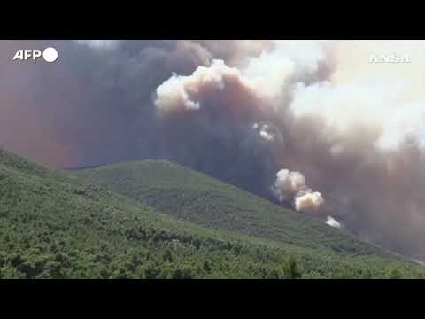 Grecia, incendio a 70 km da Atene minaccia Porto Germeno