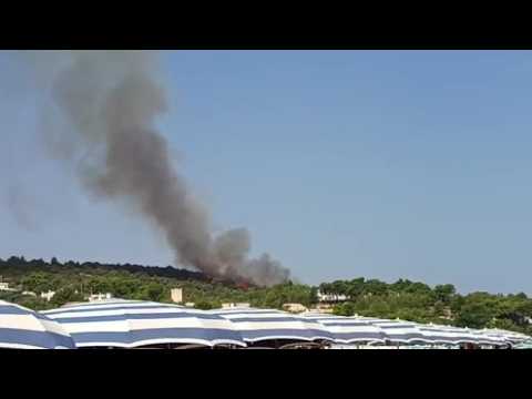 Incendio a Vieste, sgomberate alcune abitazioni. Il rogo visibile dalla spiaggia