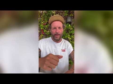 Jovanotti sui social: «Peccato per il concerto annullato a Barletta. Ma sicurezza del pubblico è …