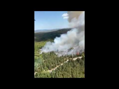 San Donato in Poggio, incendio nel bosco