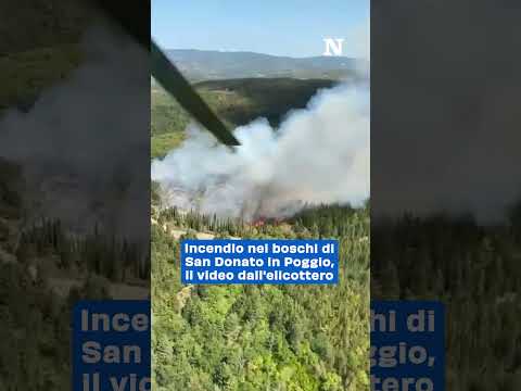 Un vasto incendio è divampato nei boschi in zona San Donato in Poggio