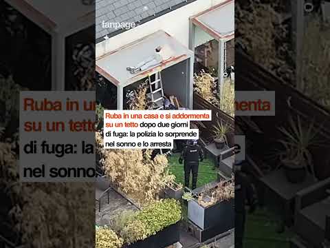 Ruba in una casa e si addormenta su un tetto dopo due giorni di fuga: la polizia lo sorprende nel so