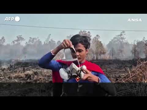 Indonesia, a 17 anni combatte gli incendi con il costume di Superman