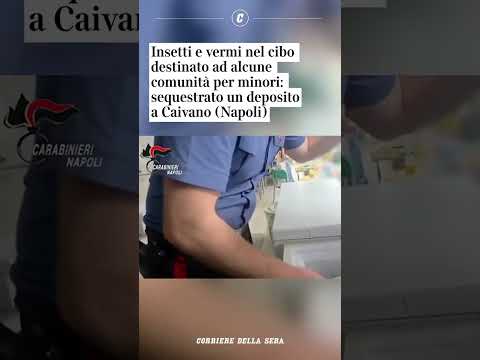 Insetti e vermi nel cibo destinato ad alcune comunità per minori: sequestrato un deposito a Caivano