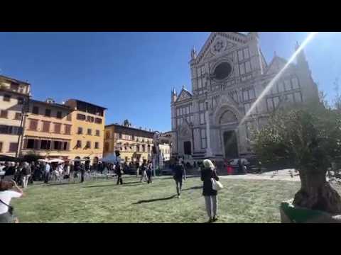Firenze, piazza Santa Croce diventa un giardino (con olivi)