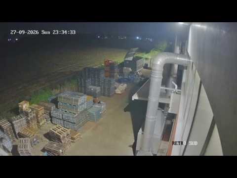 Il video dei ladri in azione (con passamontagna e mazze) nella zona industriale bersagliata dai f…