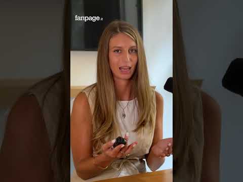 La reazione del governo Meloni all’AfD