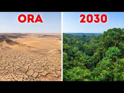 L’Africa sta costruendo un muro di 8.000 chilometri per fermare il Sahara