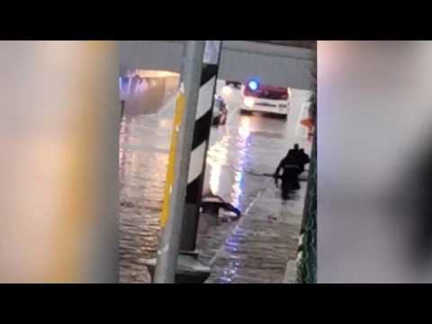 Donna annegata nel sottopasso: il video del carabiniere che tenta disperatamente di salvarla