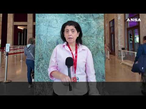 Venezia, “Naza” e la schiacciante realtà sulla guerra a Gaza