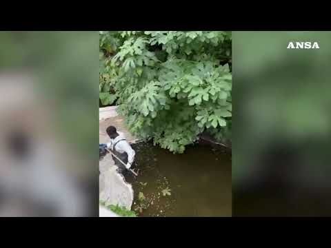 Tolte le barriere in Darsena a Milano, sul Naviglio navigazione ancora vietata