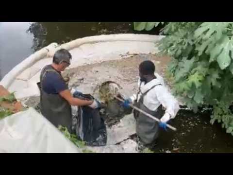Robecco sul Naviglio, gli operai «lavano» l’acqua del Naviglio Grande e delle sue rogge dopo lo s…
