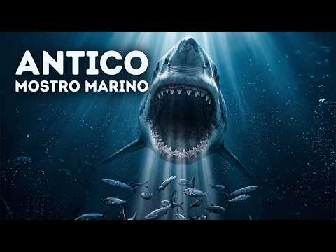 Prima del megalodonte, questo squalo gigante dominava gli oceani