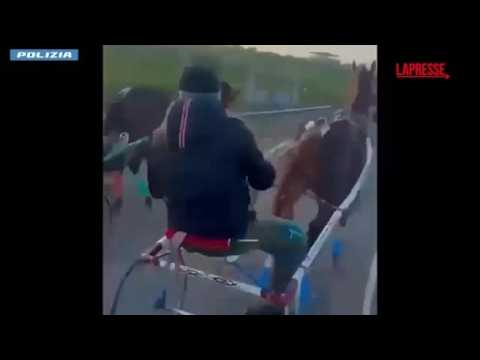 A Catania spari e kalashnikov durante la corsa clandestina di cavalli: un uomo arrestato