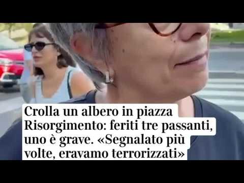 Albero crollato a Milano, il racconto di una passante: «Ho sentito uno scricchiolio, poi lentamen…