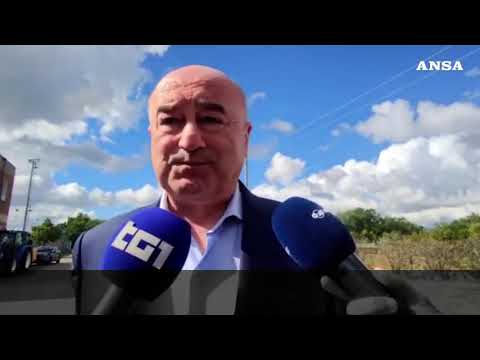 Famiglia nel bosco,  sindaco di Palmoli:  ‘Dal Comune 75mila euro per la casa famiglia’